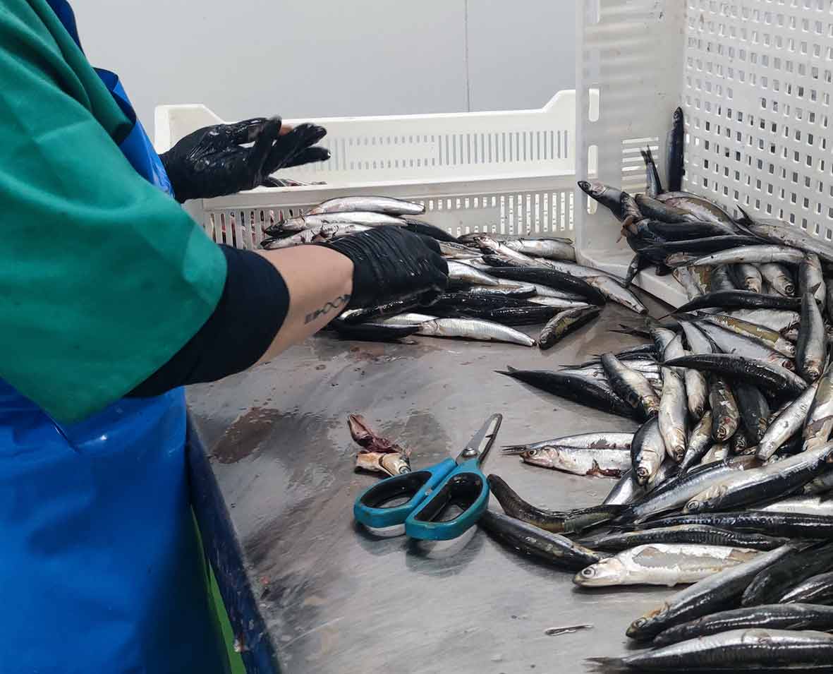 Elaboración artesanal manual