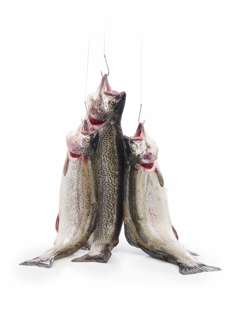 Truchas frescas colgadas — proceso artesanal Trucha Astur