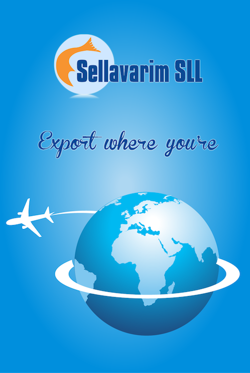Exportacion